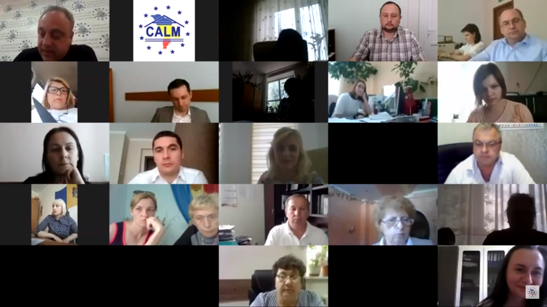 Captura de ecran din cadrul sesiunii online cu imaginea participantilor